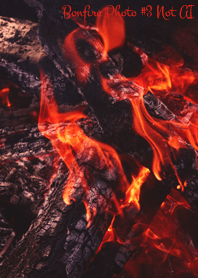 Bonfire Photo #3-26 Not AI