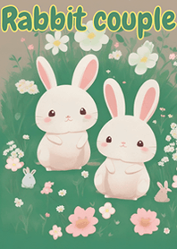 rabbit couple cute