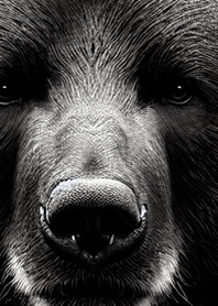 monotone animal13
