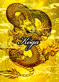 Koga Golden Dragon Money luck UP