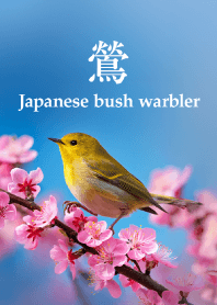 "Japanese bush warbler vol.4" theme