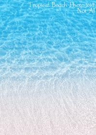TropicalBeach Photo 247 Not AI
