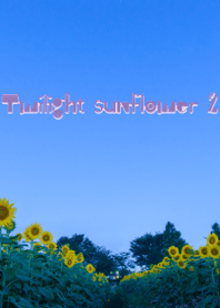 Twilight sunflower 2