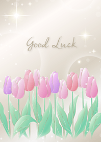 さりげなく運気UP♥️チューリップ