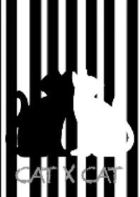 BLACK CAT x WHITE CAT.