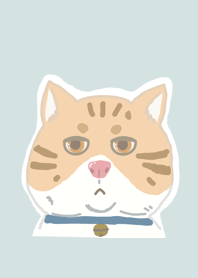 My fat cat