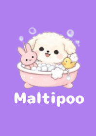 柔軟馬爾泰迪主題3 Purple 01