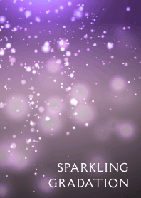 SPARKLING GRADATION THEME /9
