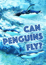 Penguins can fly only in water.
