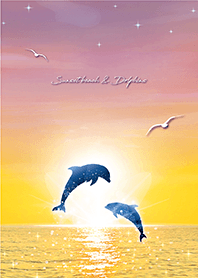 带来好运✨夕阳海滩和海豚3