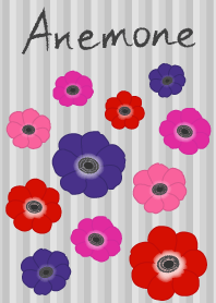 Anemone(monotone and purple)