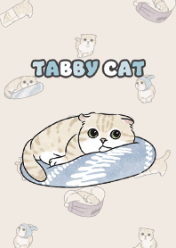 creamtabby3 / cream