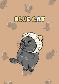 bluecat2 - burly wood