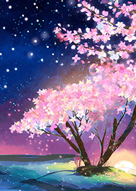 Beautiful night cherry blossoms#1344