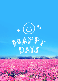 HAPPY DAYS COSMOS