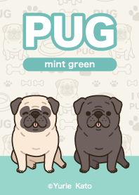 PUG / mint green