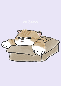 neko drawing2 / light purple