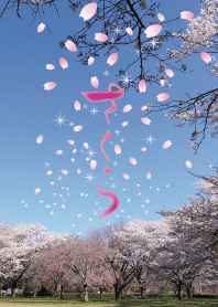 桜の花吹雪