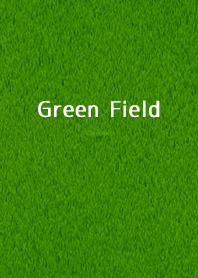 สนามหญ้าสีเขียว .