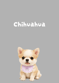 I love Chihuahuas02 white