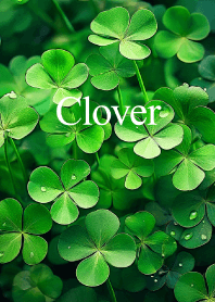 "Clover vol.1" theme