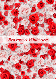 Red rose & White rose theme