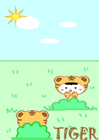 A little tiger