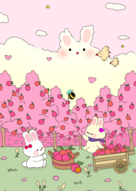 Pink Pink12