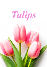 "Tulips vol.10" theme