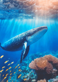 Fantasy tale of the sea53