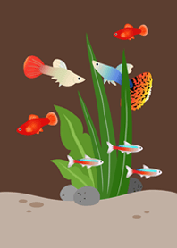 가상 어항!(어두운 갈색)