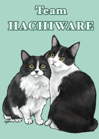 意外と使えるリアルハチワレ猫着せ替え