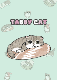 tabbycat10 - mint cream