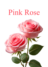 "Pink Rose vol.3" theme