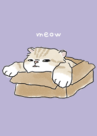 neko drawing4 / violet