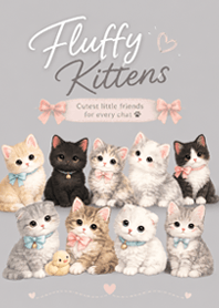 Sweet Fluffy Kittens