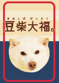 Mameshiba Daifuku