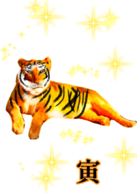 tiger White