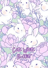Cute White Rabbit