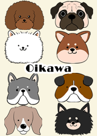 Oikawa Scandinavian dog style