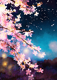 Beautiful night cherry blossoms#586