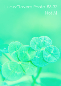 LuckyClovers Photo#3-37Not AI