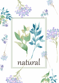The World of Flowers in Watercolor7.