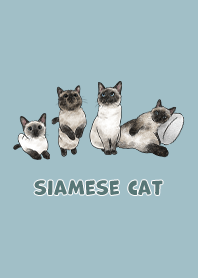 siamesecats3 / sea blue