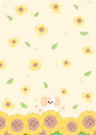Dog sunflowers