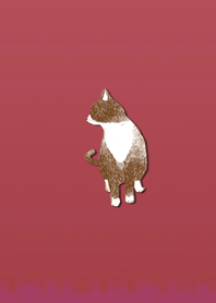 Simple adult cat 1006