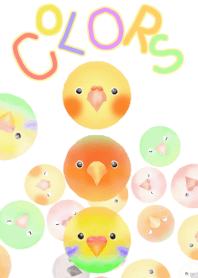 COLORS インコ