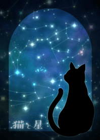 猫と星.