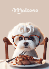 Maltese Toby puppy eats with you-JP