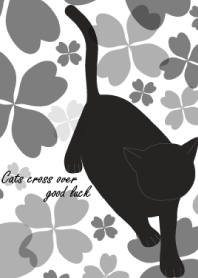 Cats cross over good luck
